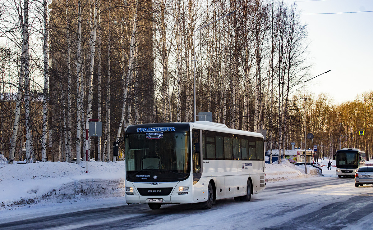 Томская область, MAN R60 Lion's Intercity ÜL290 № Е 286 МТ 186 Томская область, MAN R60 Lion's Intercity ÜL290 № Е 286 МТ 186