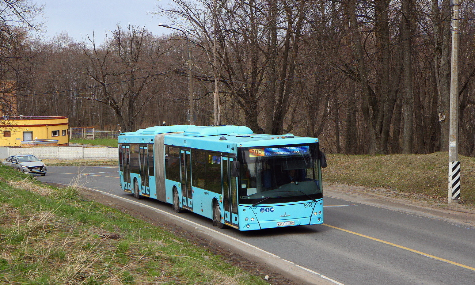 Санкт-Петербург, МАЗ-216.066 № 5296