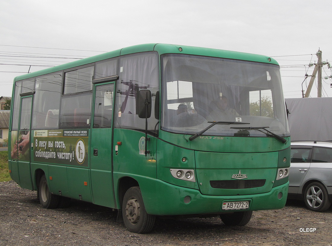 Витебская область, МАЗ-256.170 № АВ 7272-2