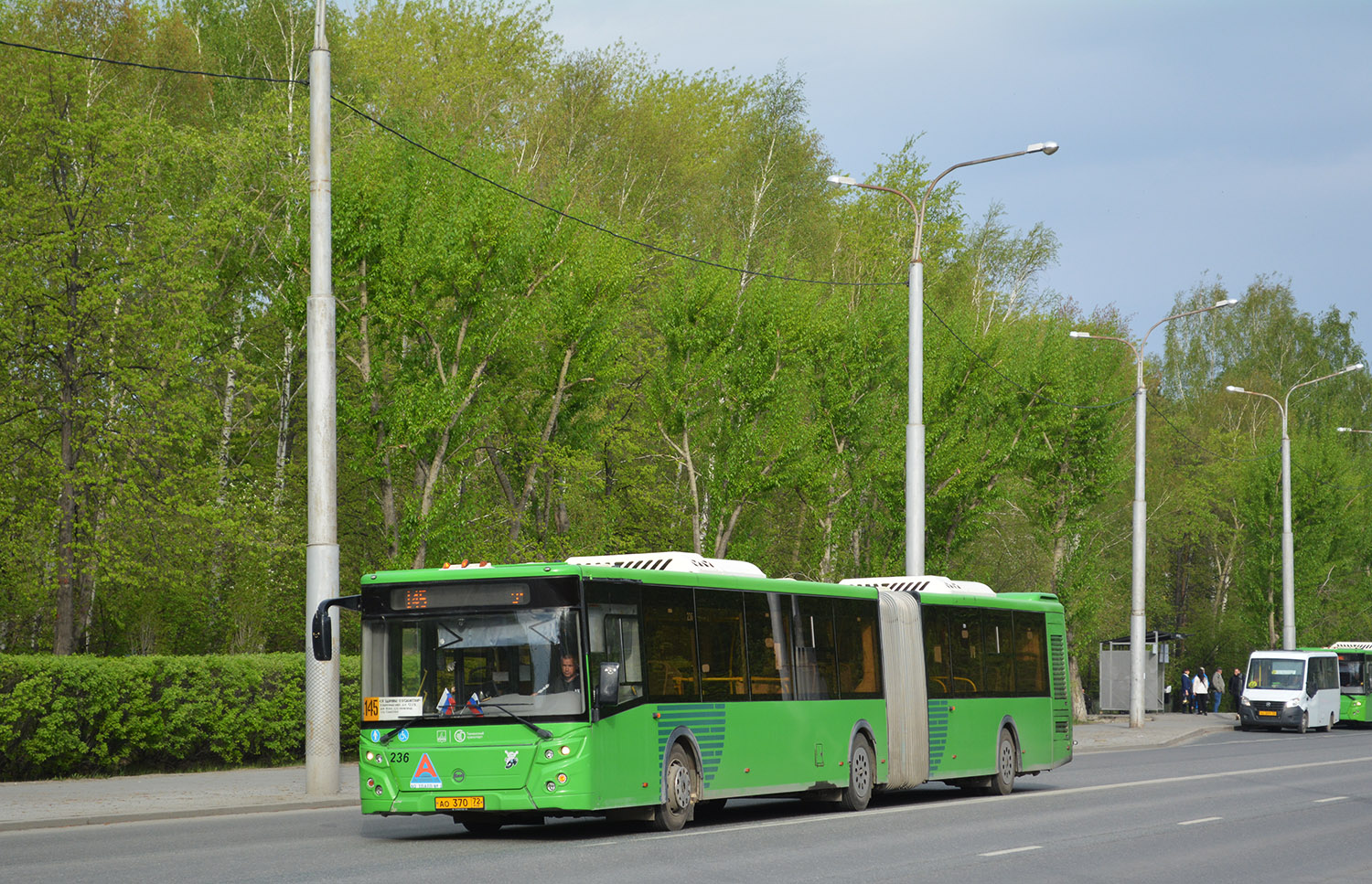 Tumen region, LiAZ-6213.65 # 236
