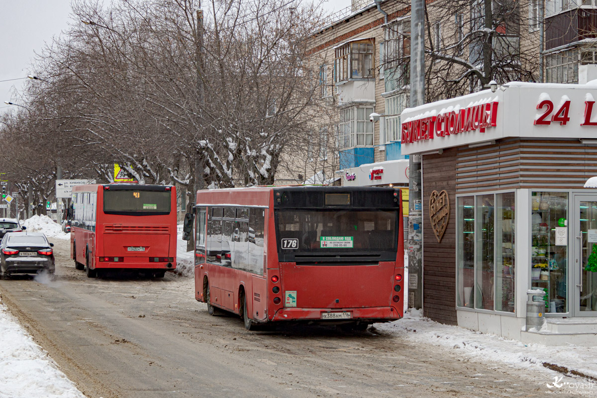 Татарстан, МАЗ-226.067 № 176 Татарстан, МАЗ-226.067 № 176