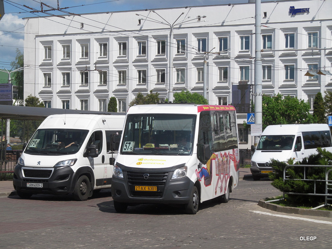 Витебская область, Луидор-225019 (ГАЗ Next) № 2 ТАХ 6301