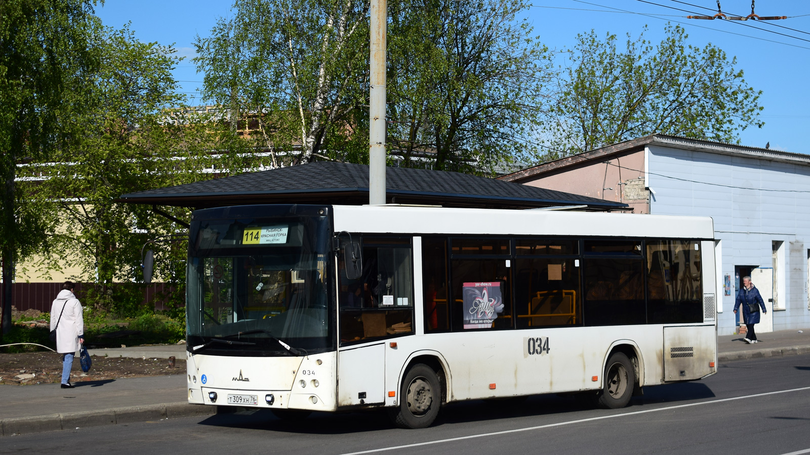 Ярославская область, МАЗ-206.085 № 034