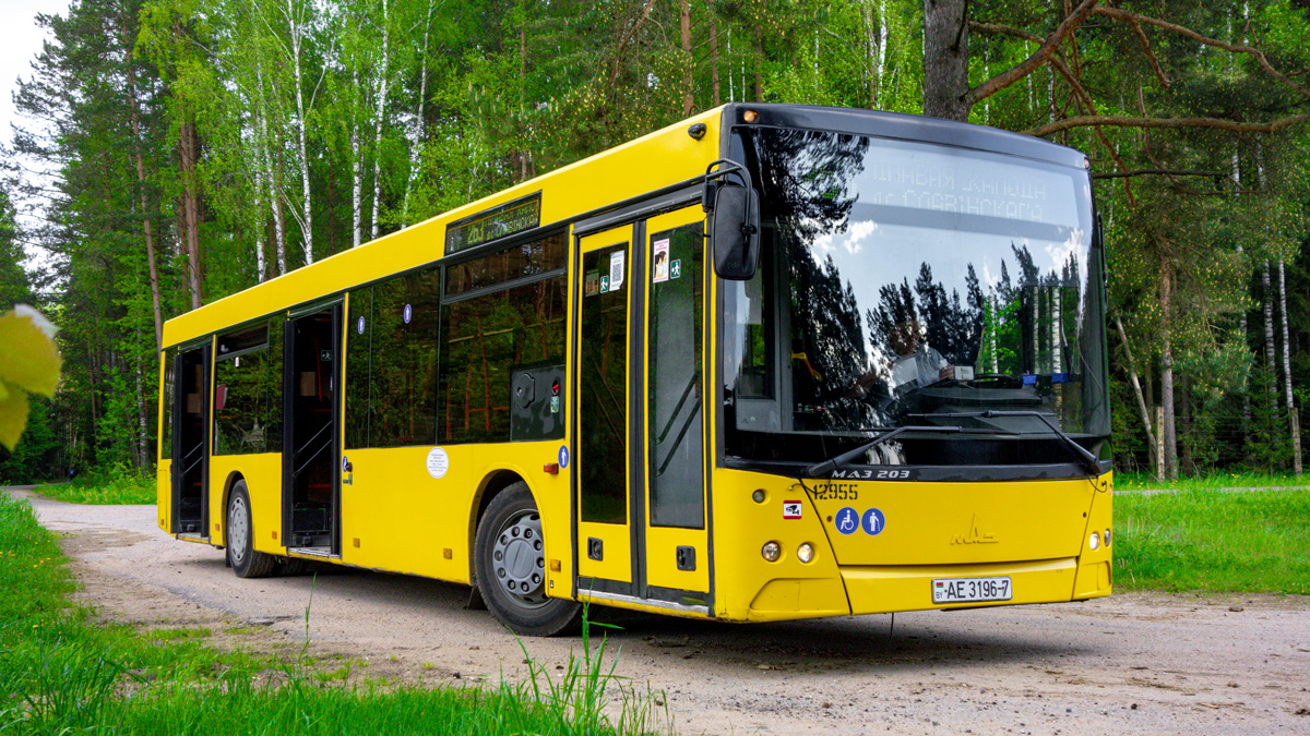Минск, МАЗ-203.065 № 012955