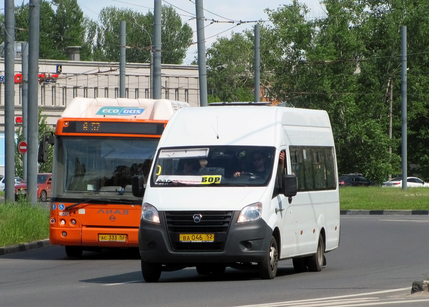 Маршрут 235 нижний новгород. Маршрут 235 нижний новгород. Маршрут 235 нижний новгород. Маршрут 235 нижний новгород. Автобус 235 маршрут.