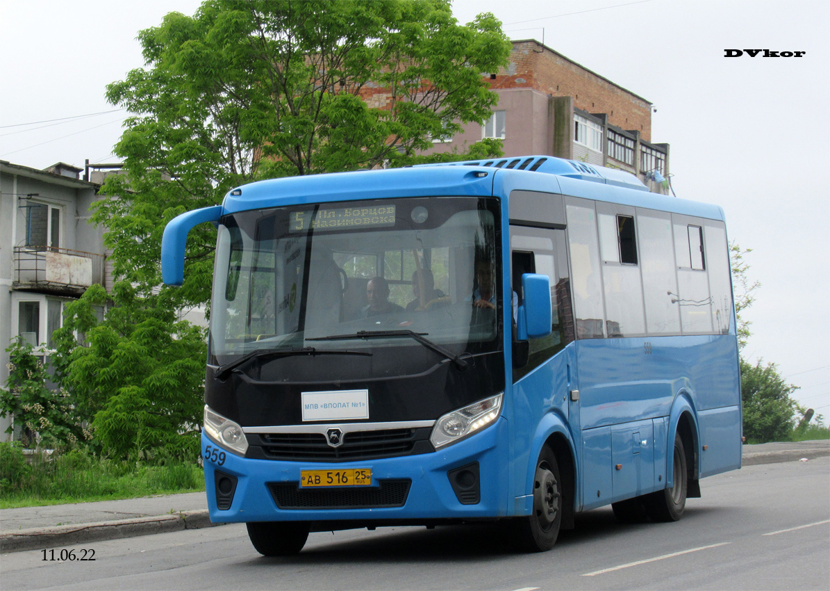Приморский край, ПАЗ-320435-04 "Vector Next" № 559