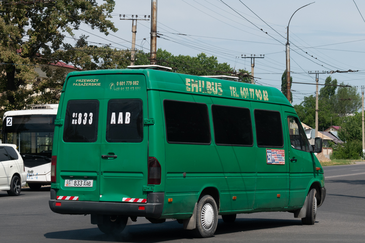Кыргызстан, Mercedes-Benz Sprinter W903 313CDI № 01 833 AAB