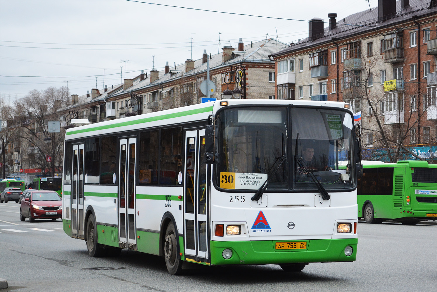 Tumen region, LiAZ-5293.54 # 255
