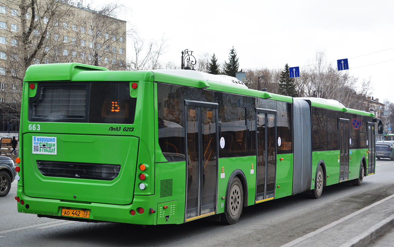 Цюменская вобласць, ЛиАЗ-6213.65 № 663