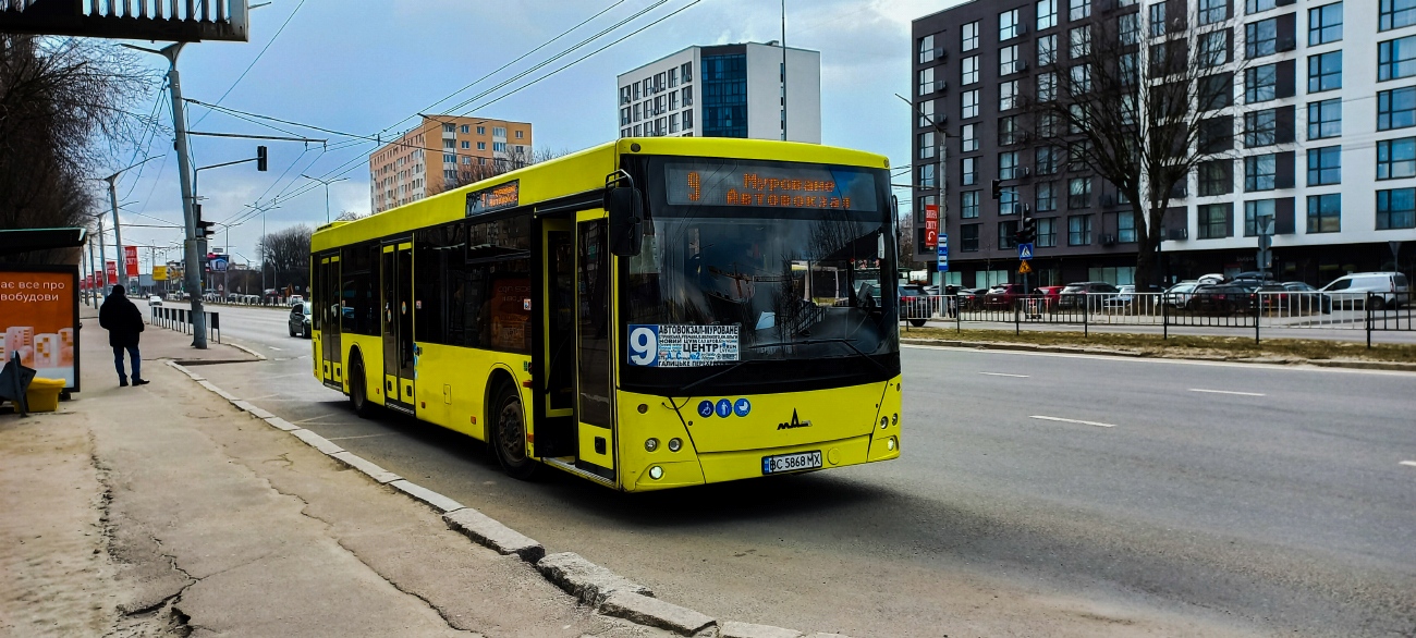 Львовская область, МАЗ-203.069 № BC 5868 MX