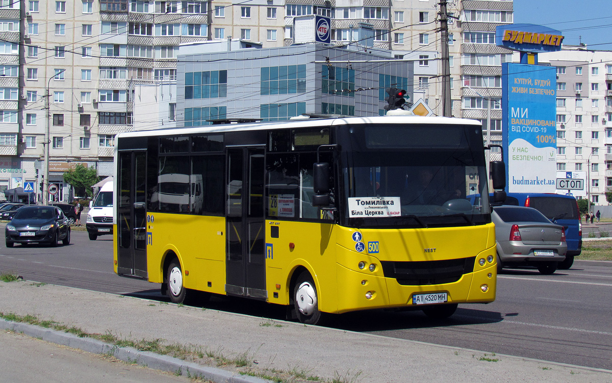 Kyiv region, NEST A0811 Nr. 500