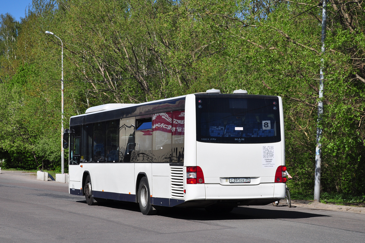 Калининградская область, MAN A78 Lion's City LE Ü EL263 № С 391 ОХ 39