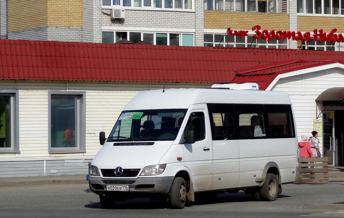 Татарстан, Луидор-223203 (MB Sprinter Classic) № Х 020 ЕВ 116