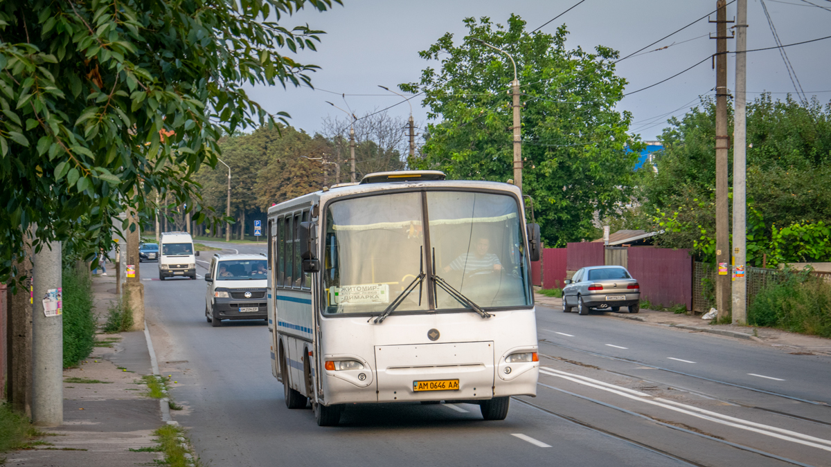 Житомирская область, ПАЗ-4230-03 № AM 0646 AA