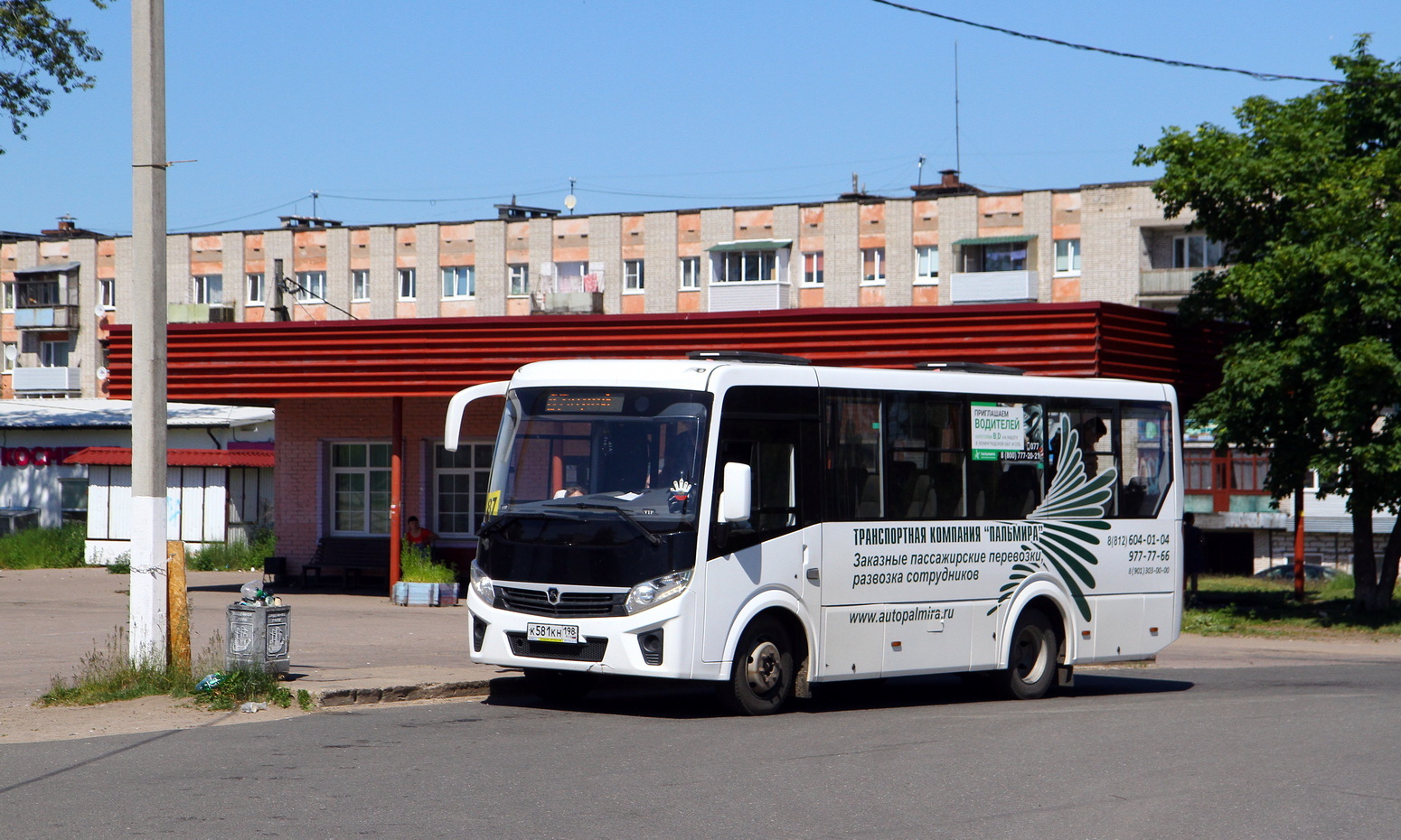 Ленинградская область, ПАЗ-320405-04 "Vector Next" № К 581 КН 198
