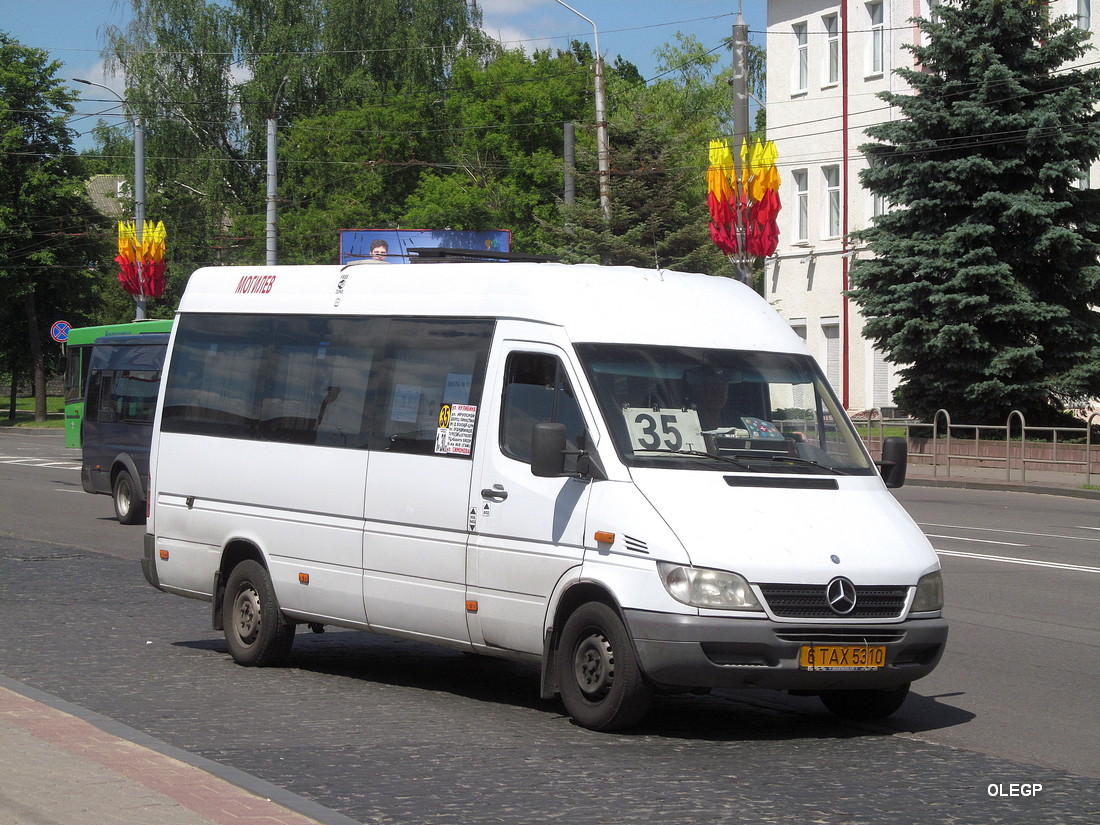 Могилёвская область, Mercedes-Benz Sprinter W903 311CDI № 6 ТАХ 5310