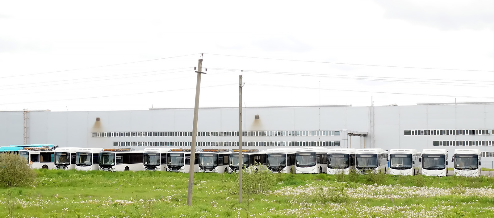 Владимирская область — Автобусы без номеров Владимирская область — Автобусы без номеров