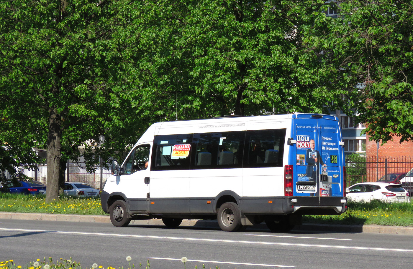 Санкт-Петербург, Нижегородец-2227UU (IVECO Daily) № n811