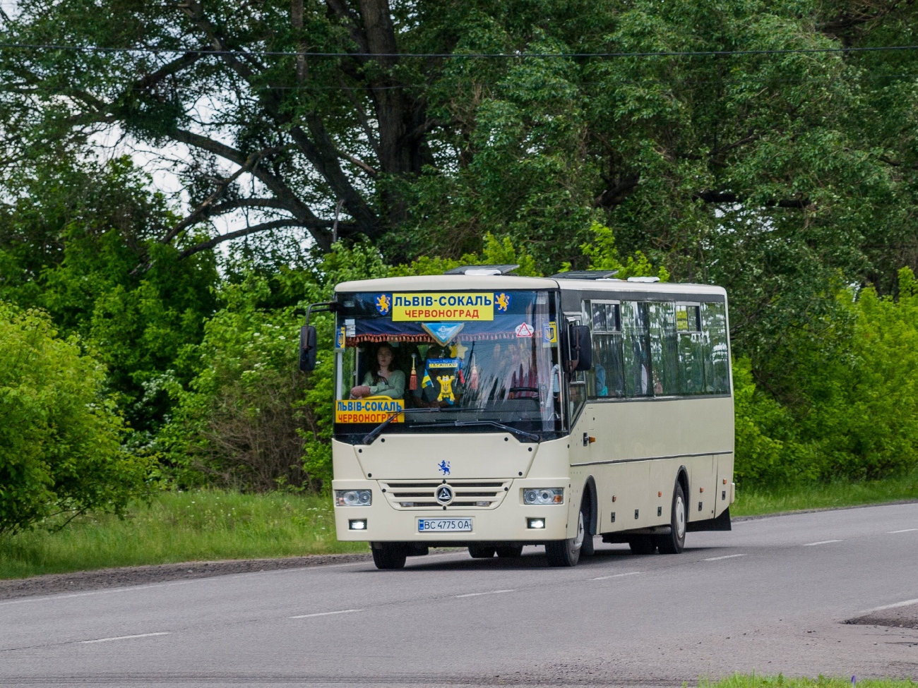 Львовская область, Эталон А081.23-30 "Роза" № BC 4775 OA