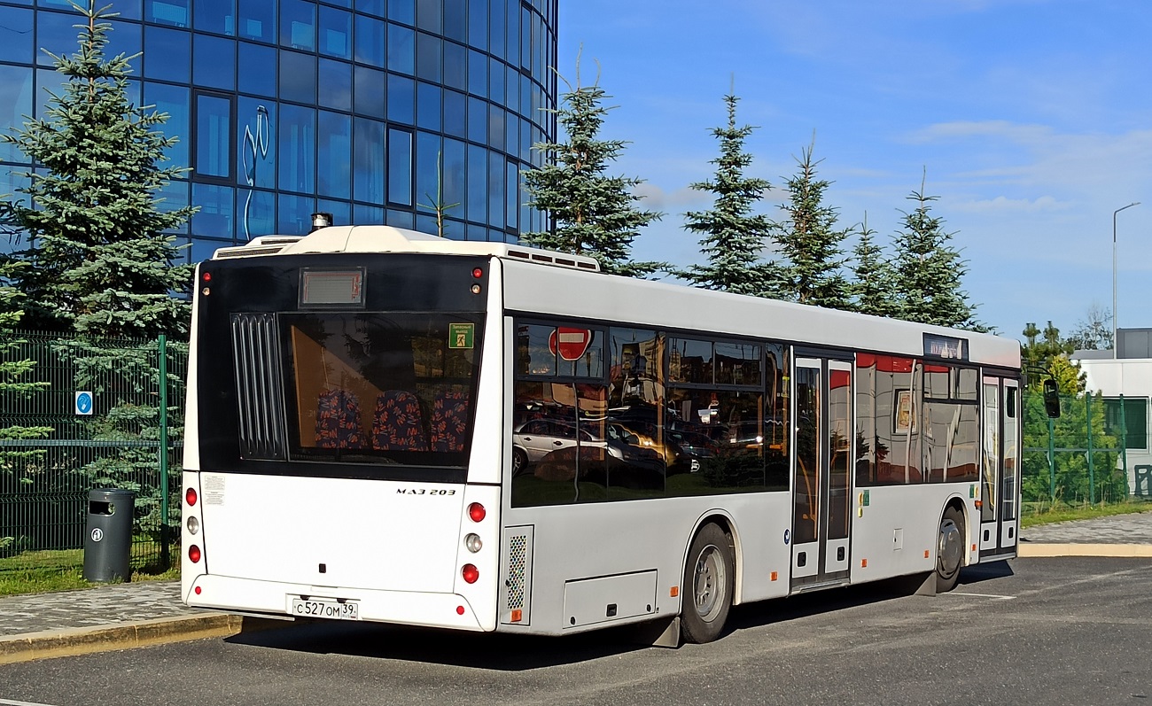 Калининградская область, МАЗ-203.116 № С 527 ОМ 39