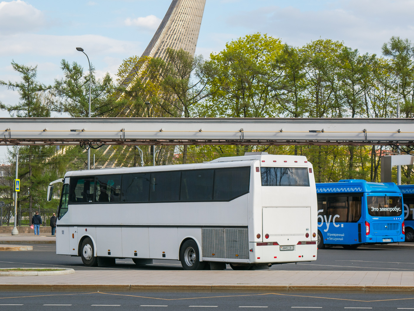 автобус гомель москва