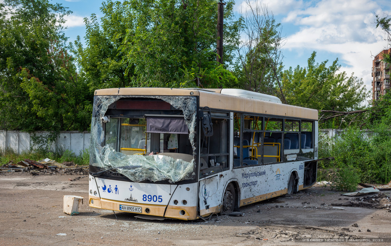 Донецкая область, МАЗ-206.086 № 8905
