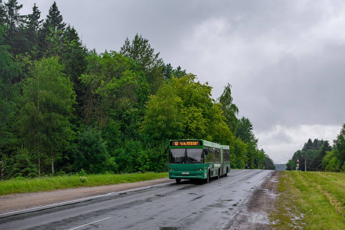 Минская область, МАЗ-105.465 № 14869