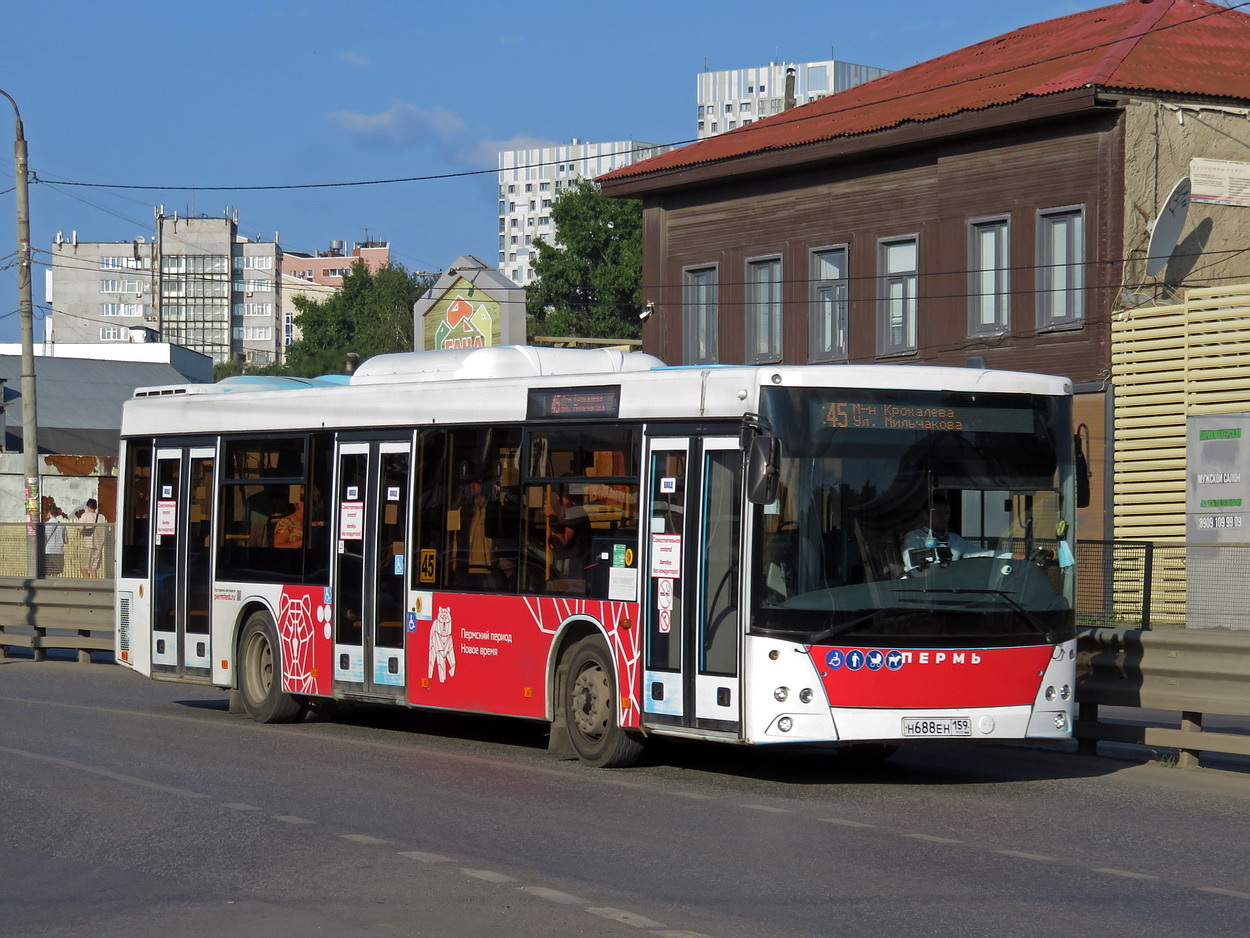 Пермский край, МАЗ-203.016 № Н 688 ЕН 159