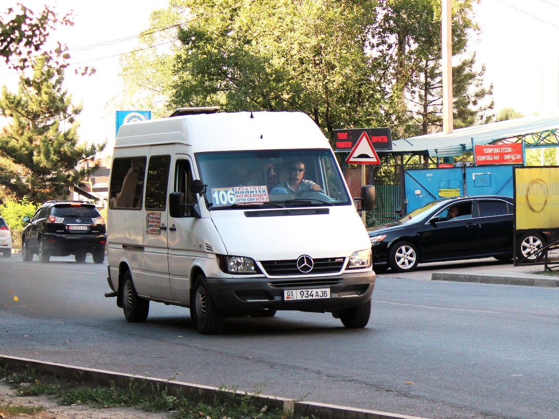 Кыргызстан, Mercedes-Benz Sprinter W901/W902 208CDI № 01 934 AJB