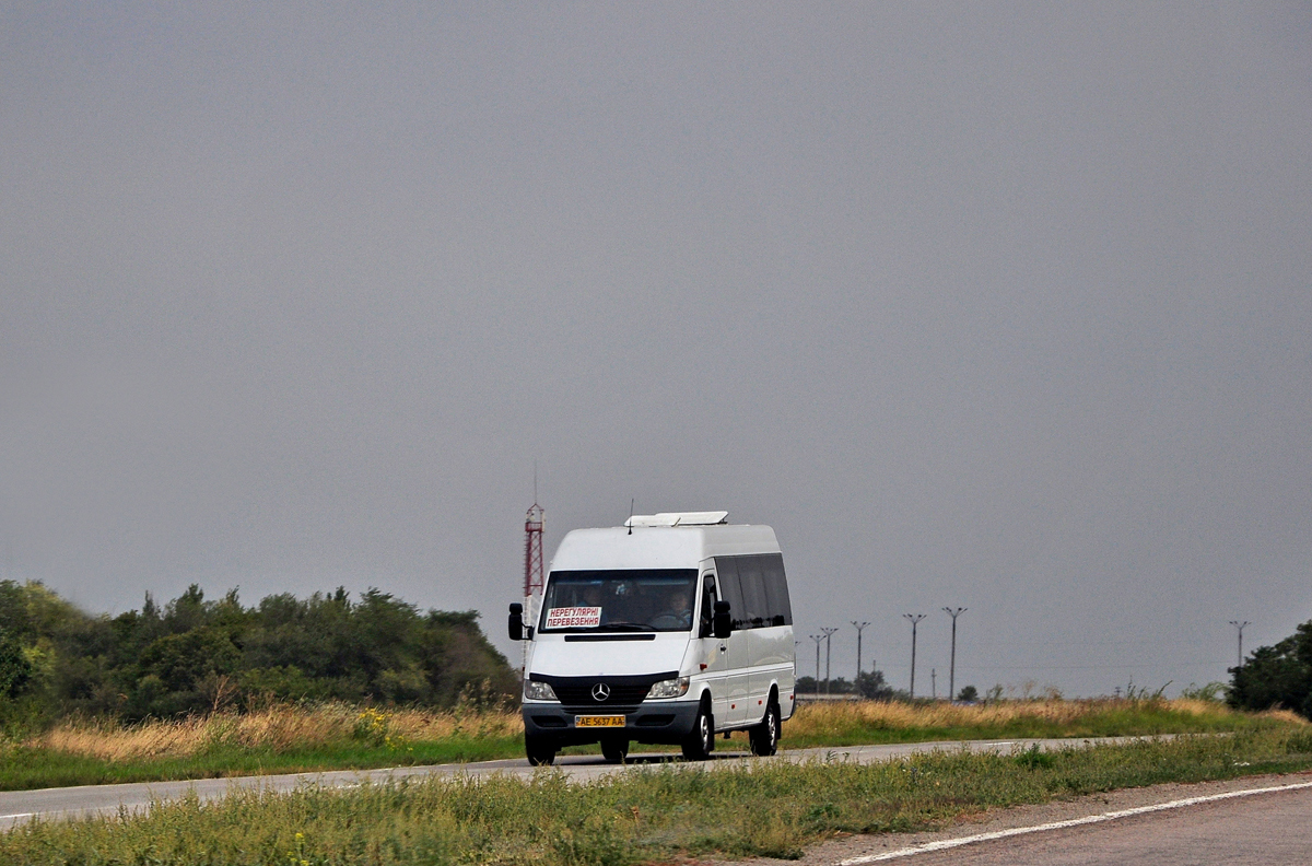 Днепропетровская область, Mercedes-Benz Sprinter W903 313CDI № AE 5637 AA