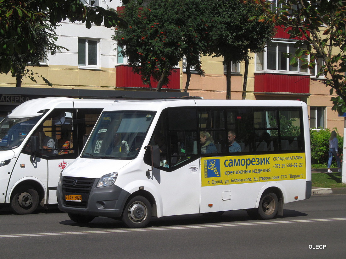 Витебская область, ГАЗ-A63R42 Next № 2 ТАХ 6028