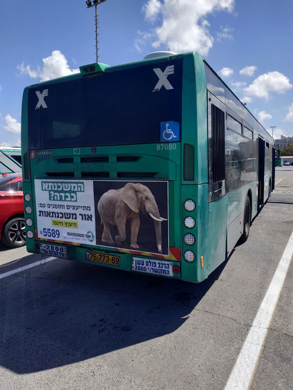 Израиль, Haargaz 250 № 87080