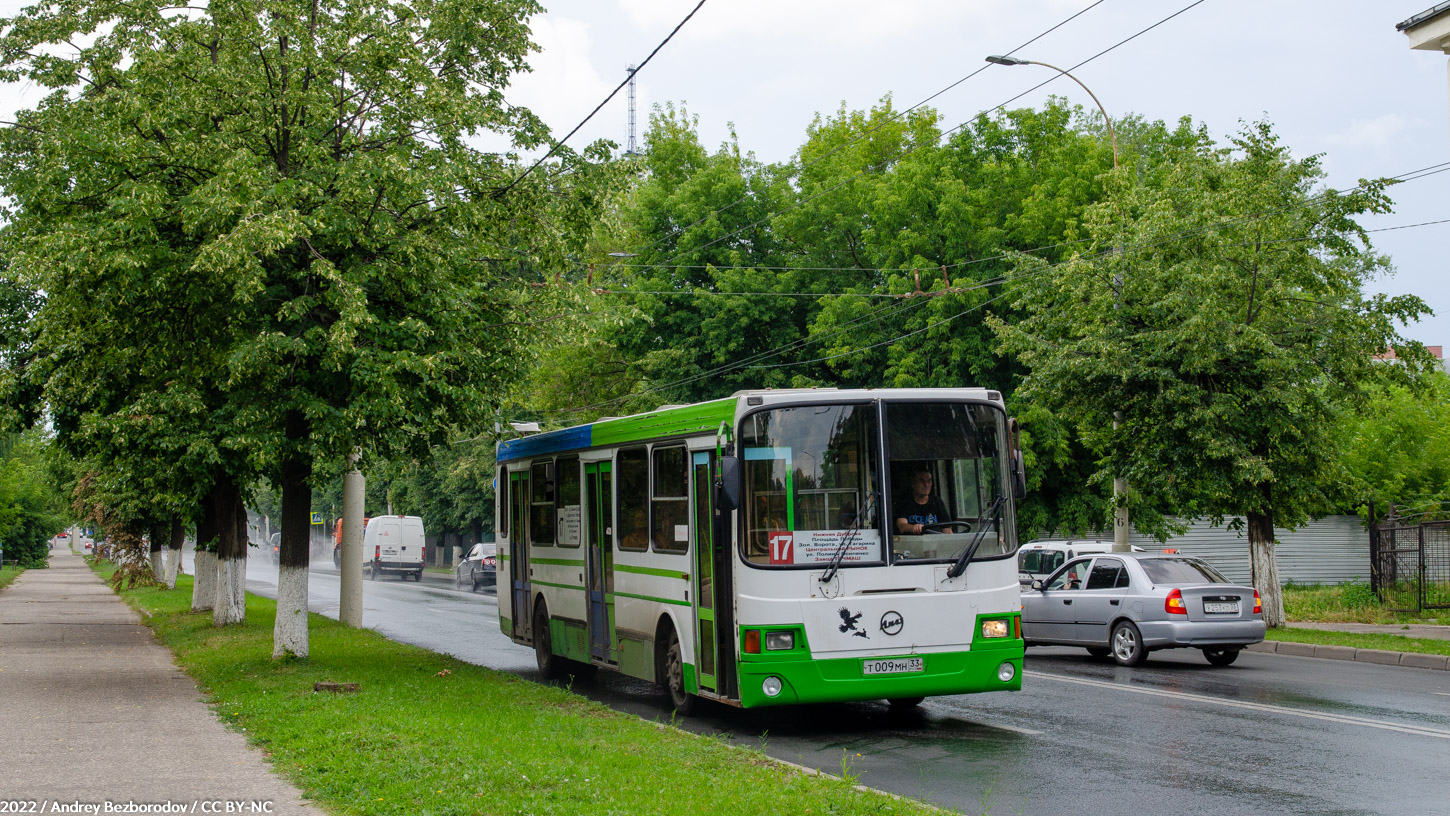 Владимирская область, ЛиАЗ-5256.26 № Т 009 МН 33