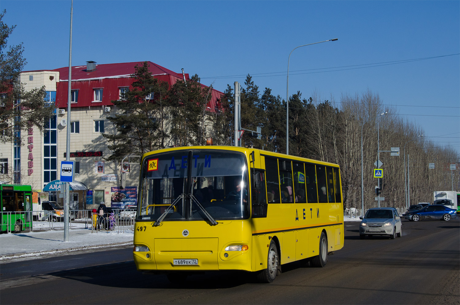 Тюменская область, КАвЗ-4238-65 № 497