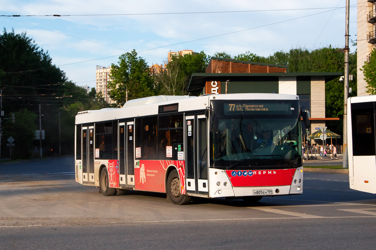 Пермский край, МАЗ-203.016 № Н 805 ЕН 159