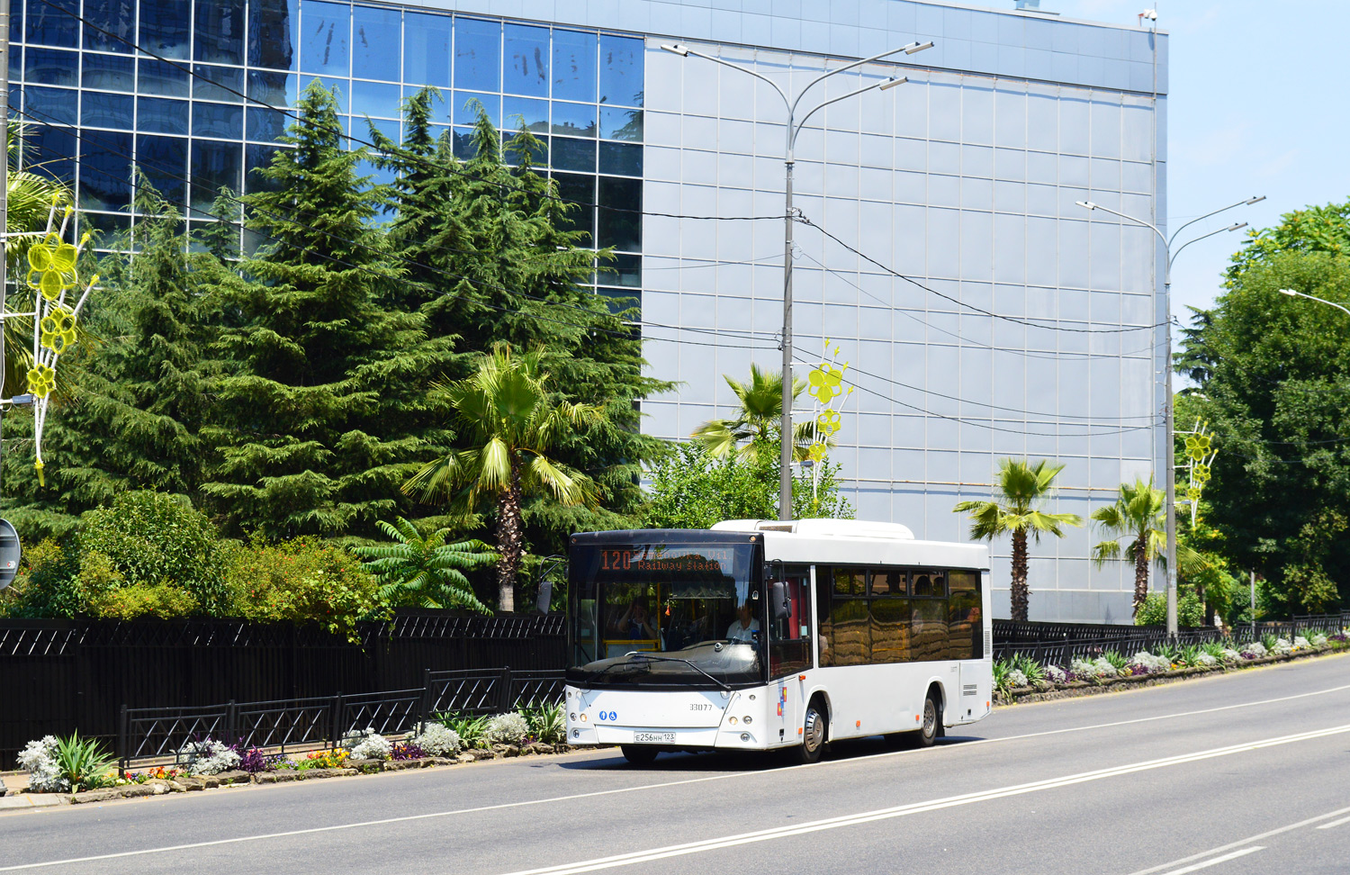 Краснодарский край, МАЗ-206.086 № 33077