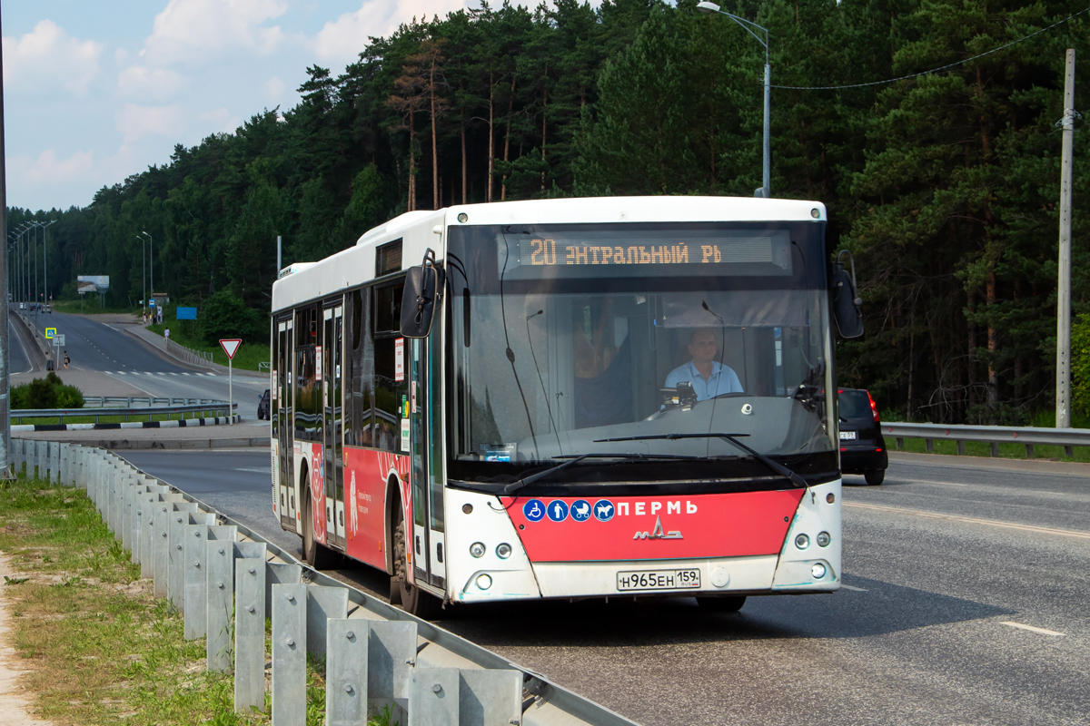 Пермский край, МАЗ-203.016 № Н 965 ЕН 159