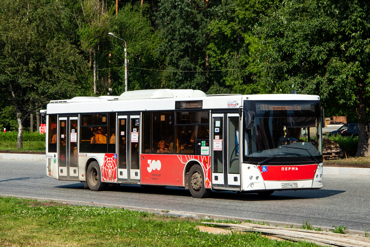 Пермский край, МАЗ-203.016 № Н 037 МЕ 159