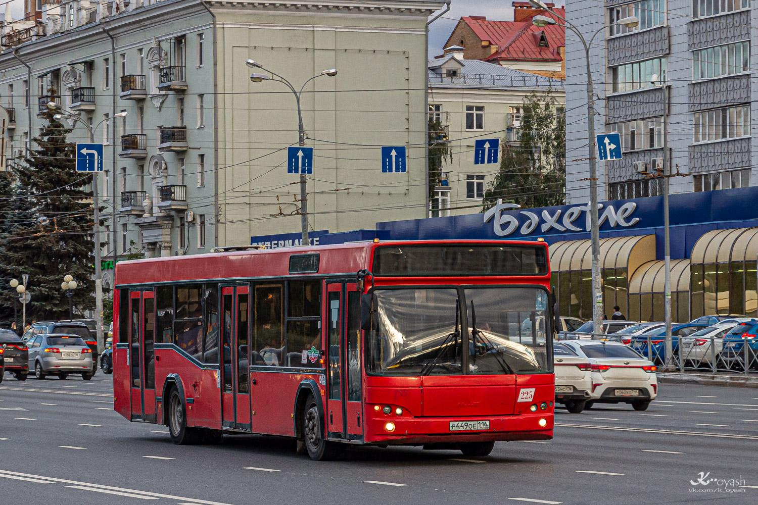 Татарстан, МАЗ-103.465 № 225