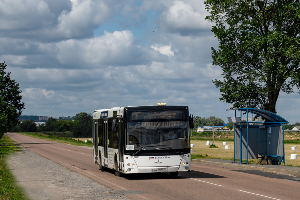 Гомельская область, МАЗ-203.065 № 014176