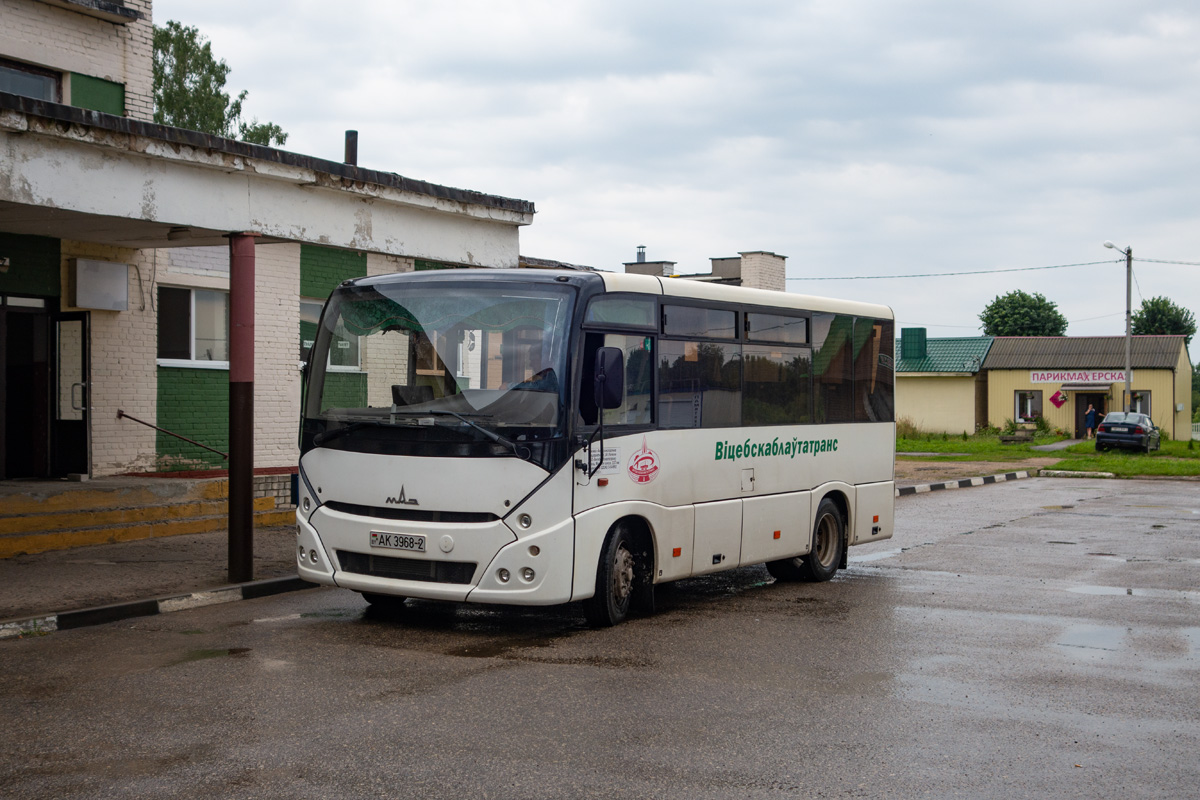 Витебская область, МАЗ-241.000 № 02011