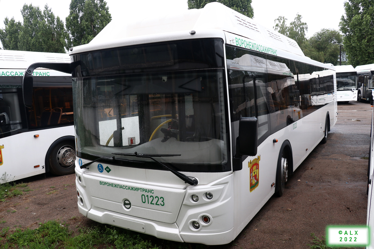 Воронежская область, ЛиАЗ-5292.67 (CNG) № 01223
