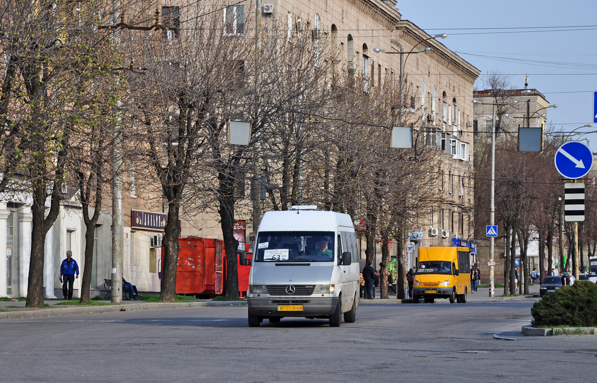 Запорожская область, Mercedes-Benz Sprinter W903 312D № AP 0348 AA