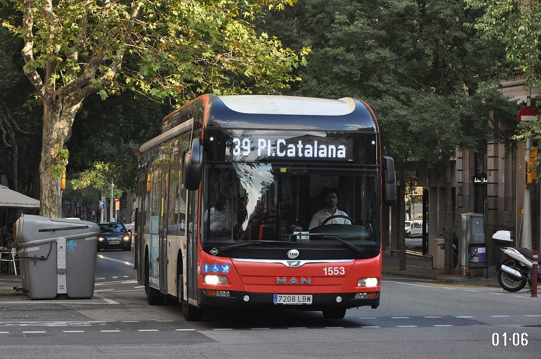 Испания, MAN A21 Lion's City NL313 CNG (Burillo) № 1553