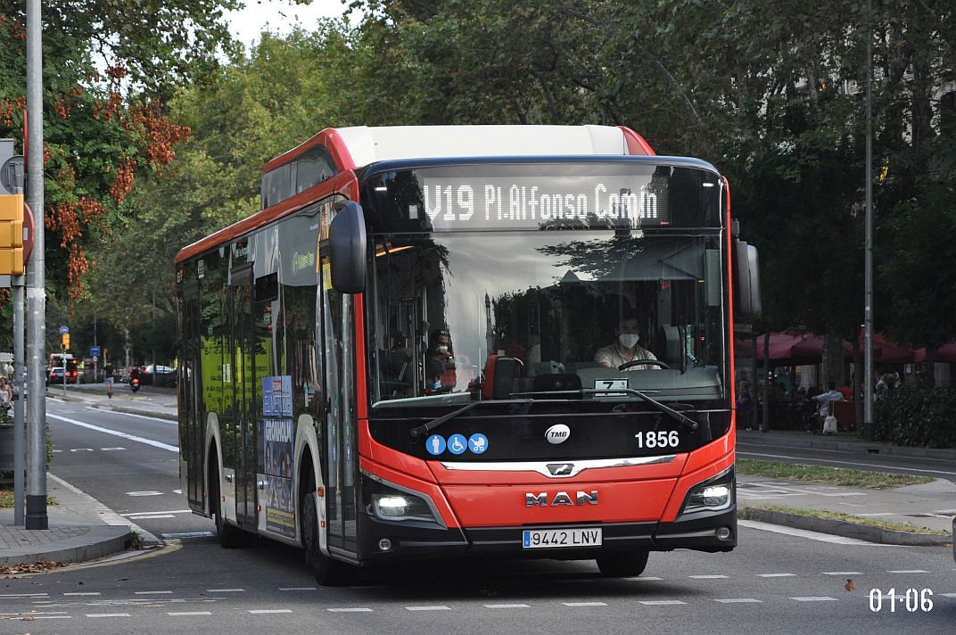Испания, MAN 12C Lion's City 12 G NL320 EfficientHybrid № 1856