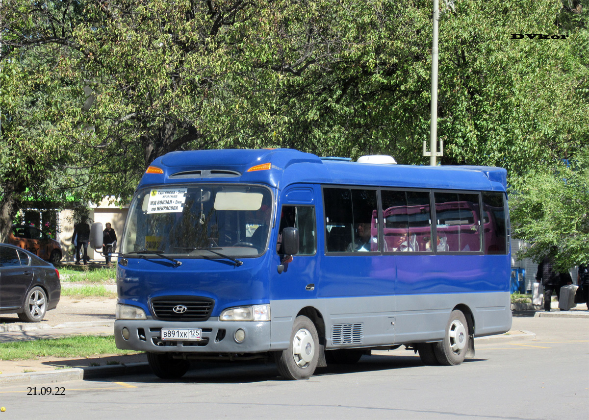 Приморский край, Hyundai County Deluxe № В 891 ХК 125