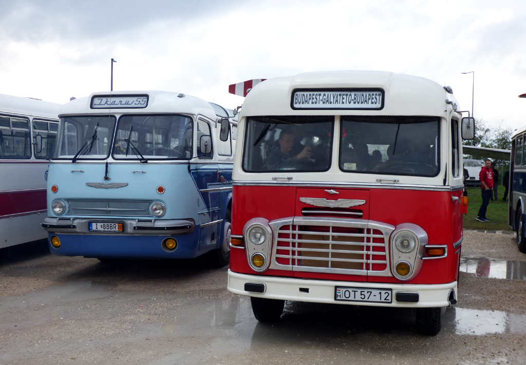Венгрия, Ikarus 311.24 № OT 57-12; Венгрия, Ikarus  55 № I 88BR 22; Венгрия — IV. Ikarus Találkozó, Aeropark (2022)