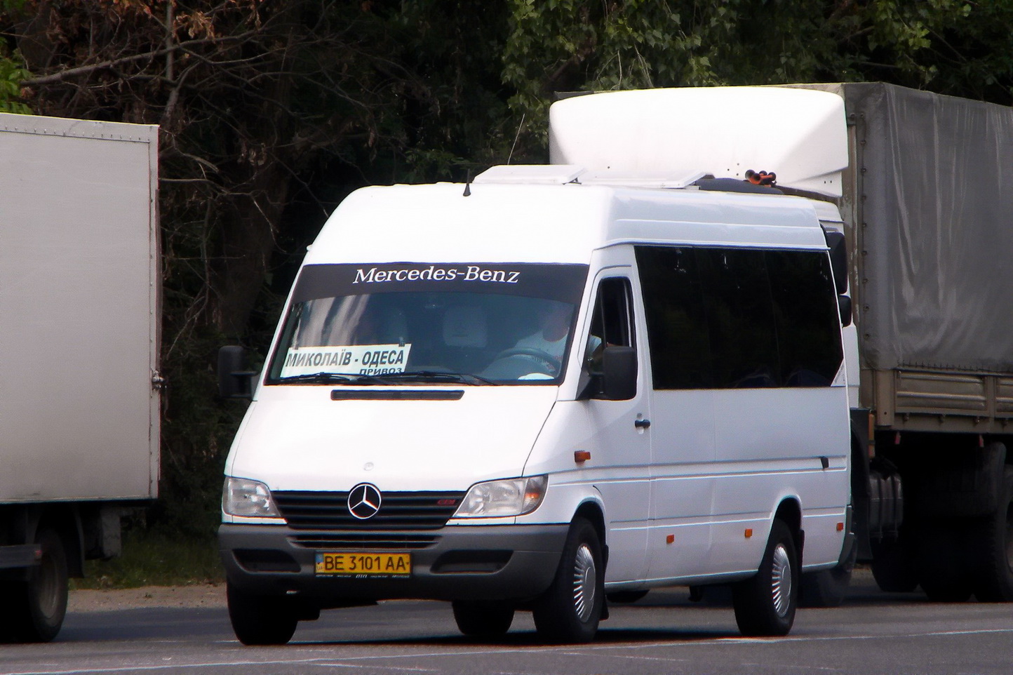 Николаевская область, Mercedes-Benz Sprinter W903 313CDI № BE 3101 AA