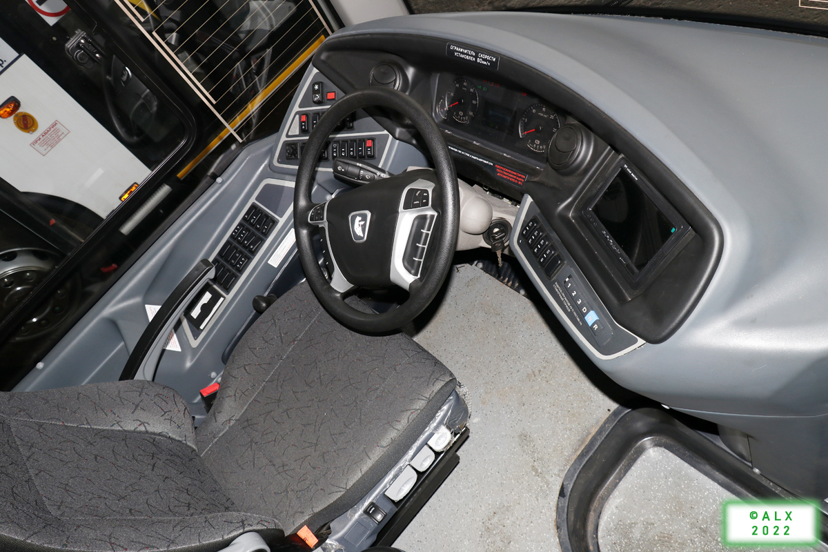 Воронежская область, НефАЗ-5299-40-57 (CNG) № 01200