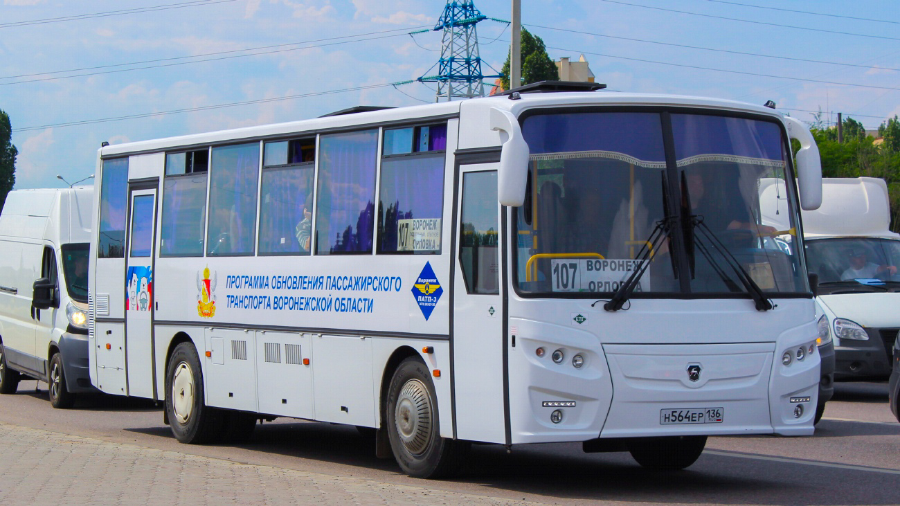 Воронежская область, КАвЗ-4238-81 № Н 564 ЕР 136